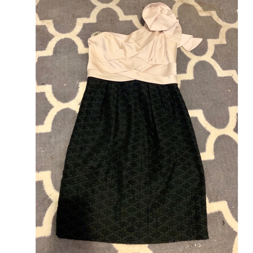 Max and Cleo two toned dress